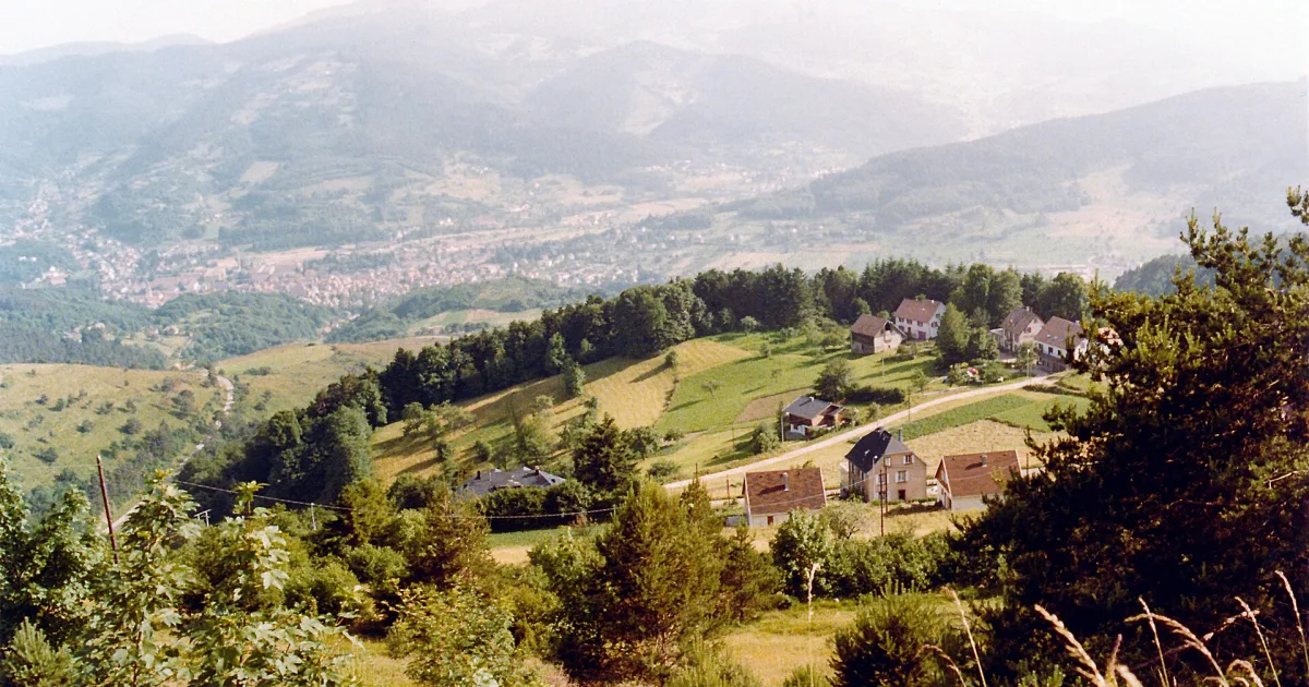 Panorama sur la vallée de Munster, en Haut-Rhin, offrant une vue d'ensemble sur la commune